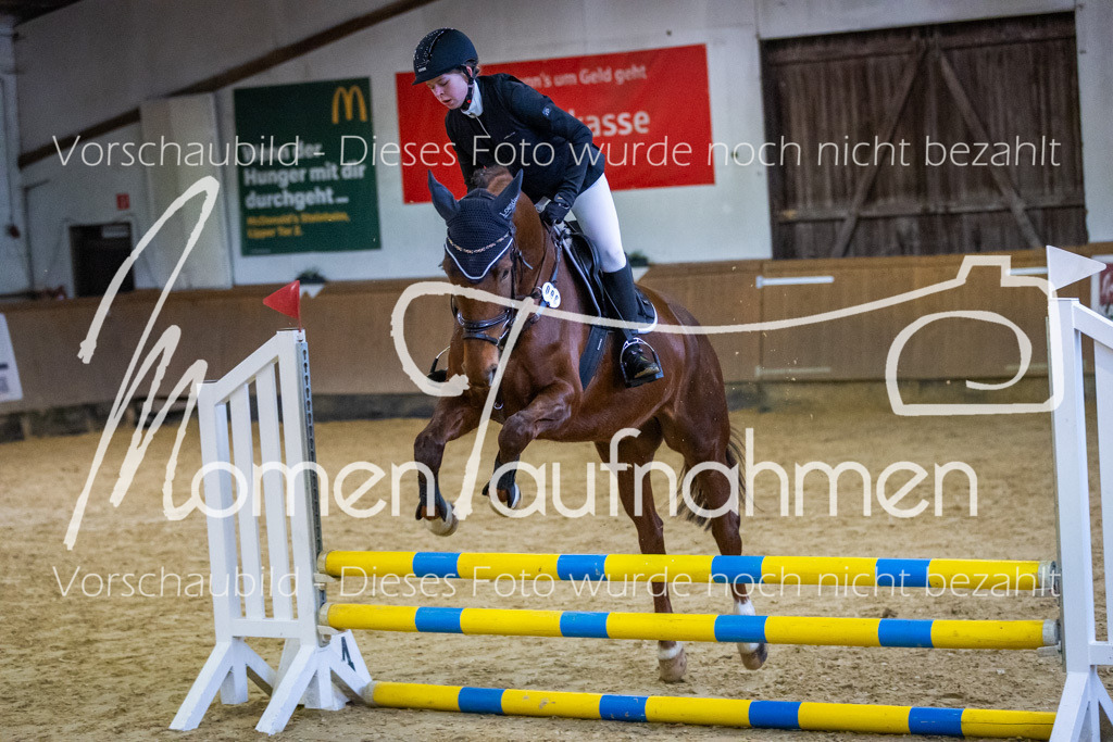 Sth-WBO25-Spr65cm-069 | MomenTaufnahmen Pferdesportfotos