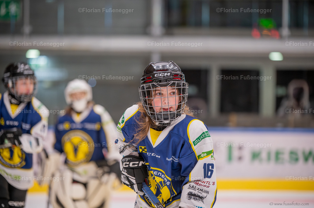 DSC_1446 | "Fussifoto.com – Ihr Ansprechpartner für hochwertige Fotografie! Entdecken Sie kreative Bilder und professionelle Dienstleistungen. Kontaktieren Sie uns für Ihre Projekte!"