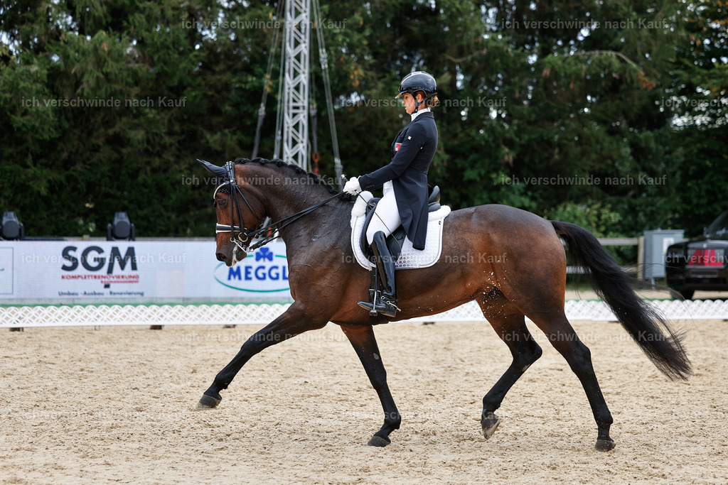 11-110-Dressur S___-StoibPH-1375 | working equitationturnier fotograf videograf stoibphotography marixx film working equitation deutschland reitsport turnierfotografie eventfotografie equestrian events