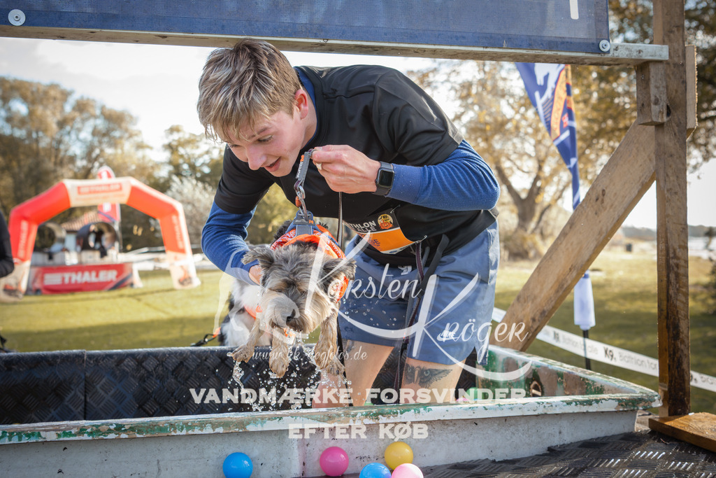 1303_ZZ98979-2 | kk-dogfotos