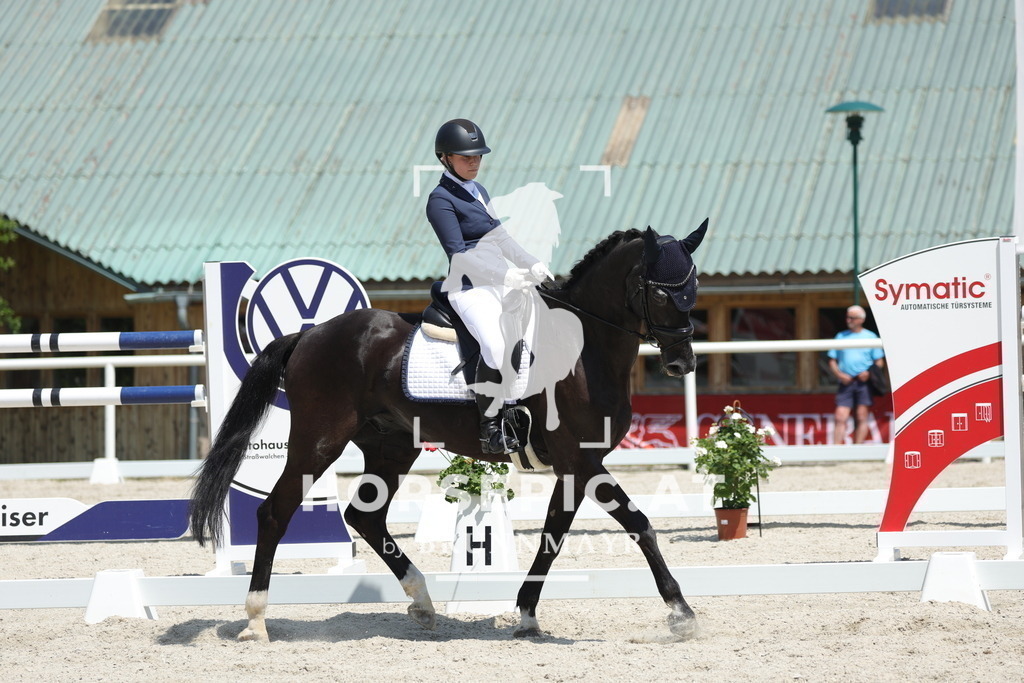 0P6A1366 | Willkommen bei Brunnmayr - Design & Fotografie – Ihrem Spezialisten für Reitturniere und Pferdeveranstaltungen in Oberösterreich, Salzburg und Bayern! Seit über 17 Jahren sind wir leidenschaftlich dabei.