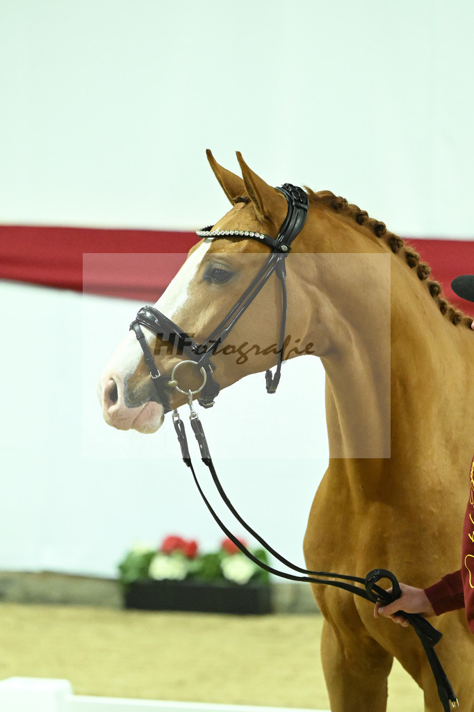 Kat-Nr. 10 v. Fuerst Samarant_Beckmann_63220015 | hf-fotografie - Realizzato con Pictrs.com