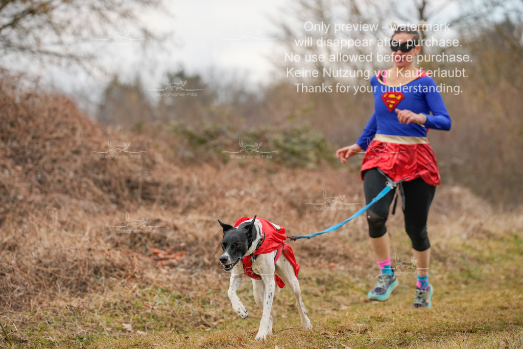 Fasching-52 | stephaniefillaphotographie - Realisiert mit Pictrs.com