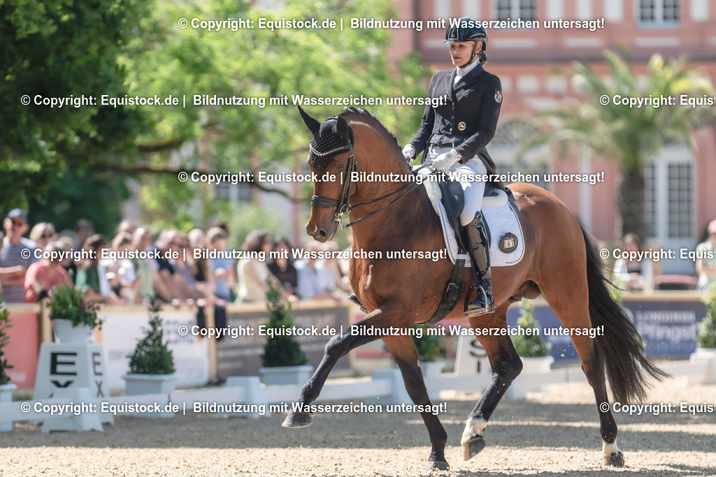 20230529_29_Louisdor_0103 | equistock