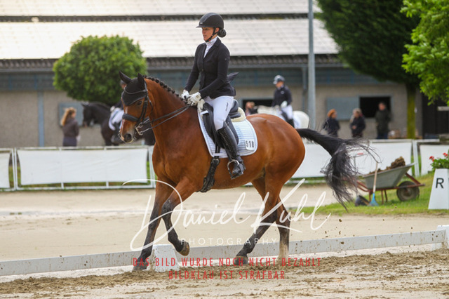 DKP40143 | Turniersportfotografie; Pferdefotografie; Dressurfotografie