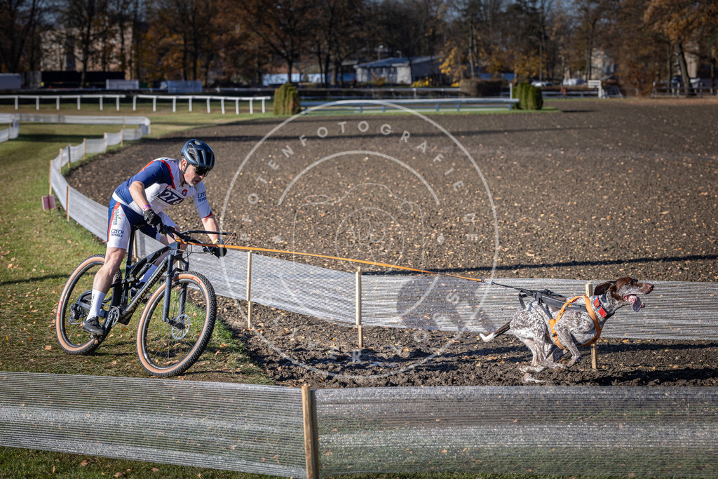 CaniXpix_DV3A5378 | Hundefotografie, Tierfotograf, Pfotenfotografie, Fotoshooting Hund, Hunde Portrait, Hundesport, Hundeportraits, Heideshooting, Hunde, Sportfotograf, Hundefotograf, Turnierhundsport, THS,  - Realisiert mit Pictrs.com