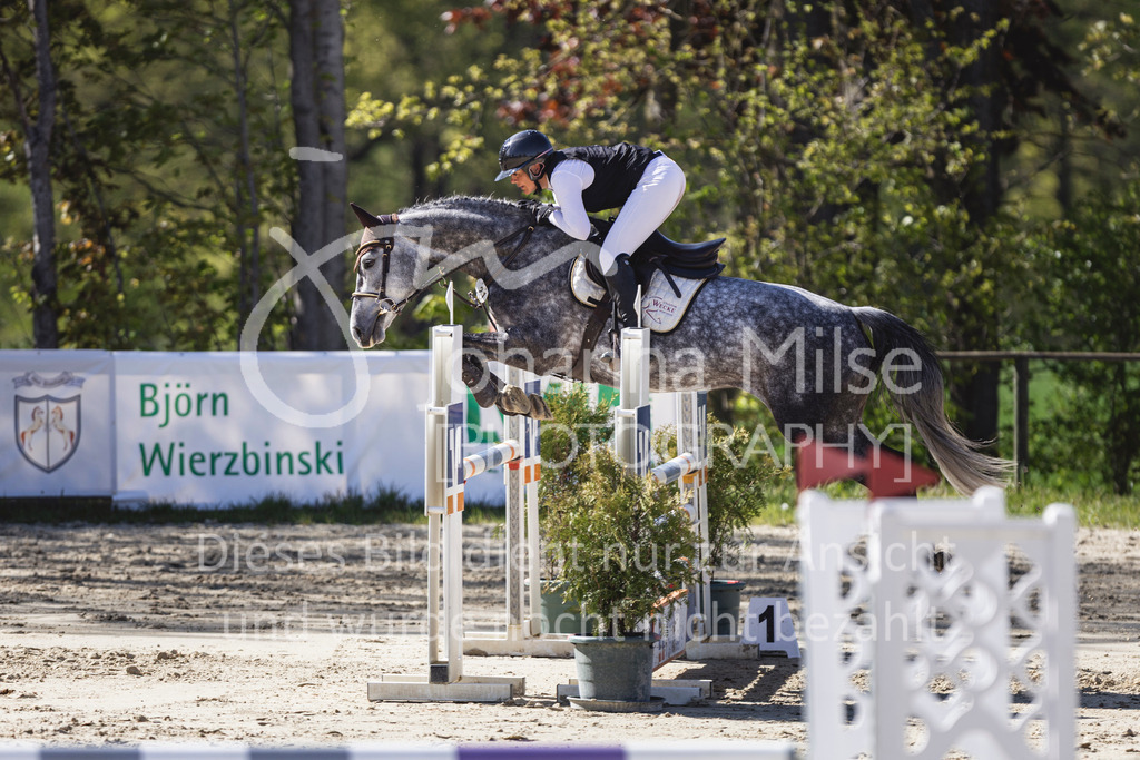 260501_Spenge_5_SprPf-L-520 | Deine schönsten Turniermomente als professionelle Fotos! Entdecke hochwertige Pferdesport-Fotografie im Online-Shop. Jetzt Fotos finden & bestellen!