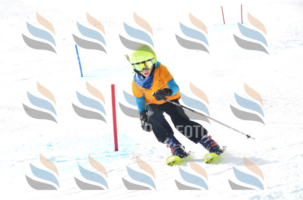 C8349 | holidayphoto