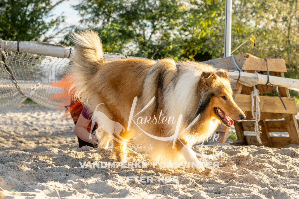 1648_ZZ99719 | kk-dogfotos