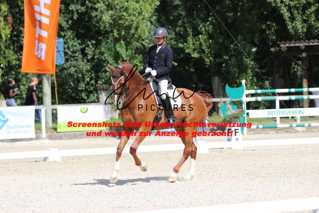 IMG_5363 | lmwpictures - Realisiert mit Pictrs.com