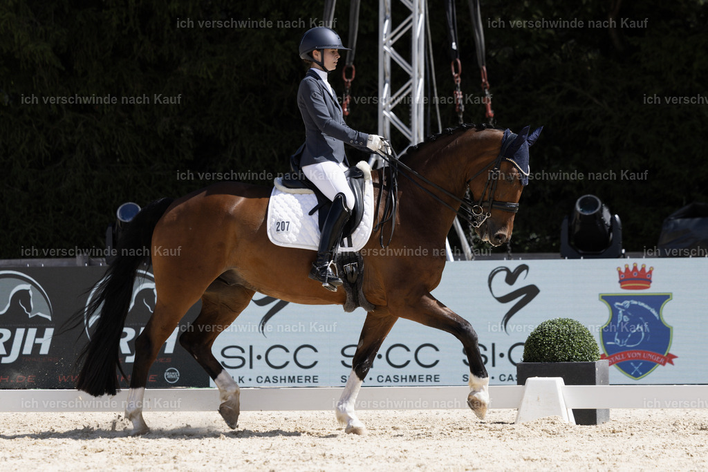 FHC2026_P02_207_13409 | Fichtenhof Classics 2026 – Dressurturnier, Reitanlage Fichtenhof, Schäftlarn