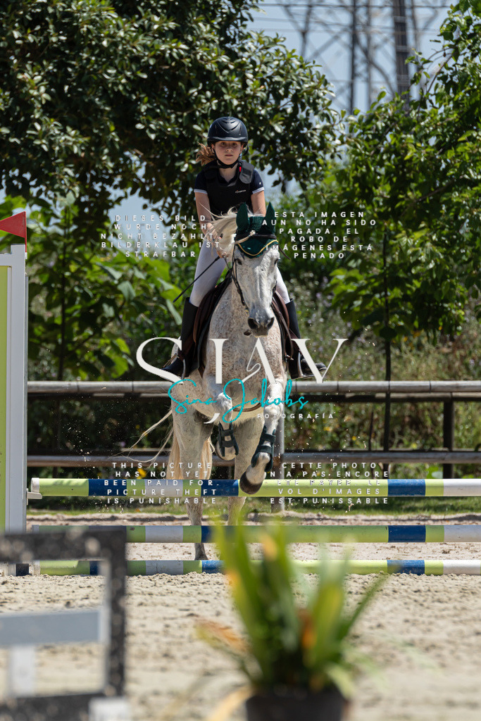 IMG_0342 | s-jay-photography - Realisiert mit Pictrs.com