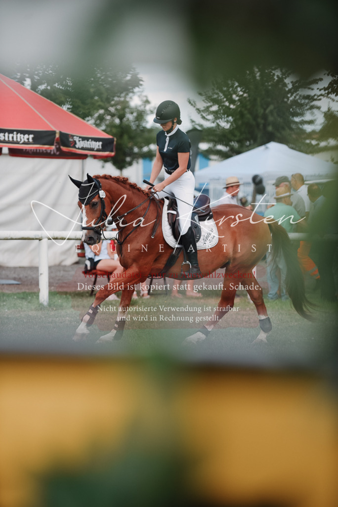 DSC_5608 | Pferde- und Turnierfotografie in Westsachsen. Pferdeportraits, Auftragszeichnungen und intuitive Kunst.