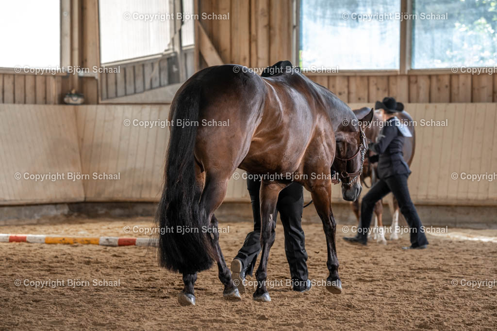 SBS02834 | BS-foto