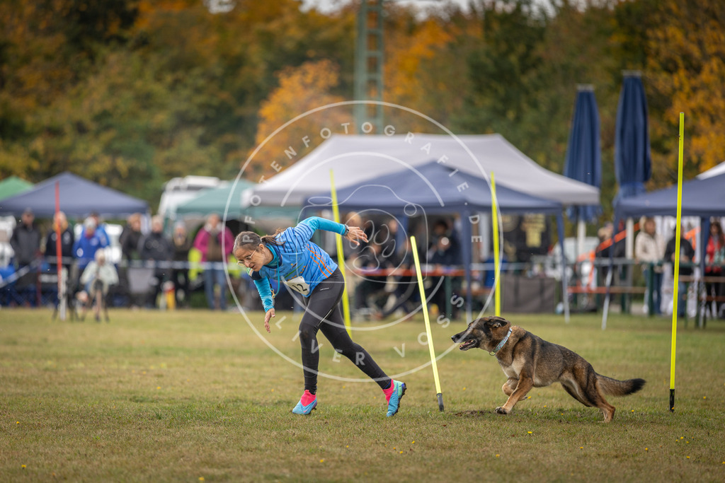 Pfotenfotografie_DV3A6835 | Hundefotografie, Tierfotograf, Pfotenfotografie, Fotoshooting Hund, Hunde Portrait, Hundesport, Hundeportraits, Heideshooting, Hunde, Sportfotograf, Hundefotograf, Turnierhundsport, THS,  - Realisiert mit Pictrs.com