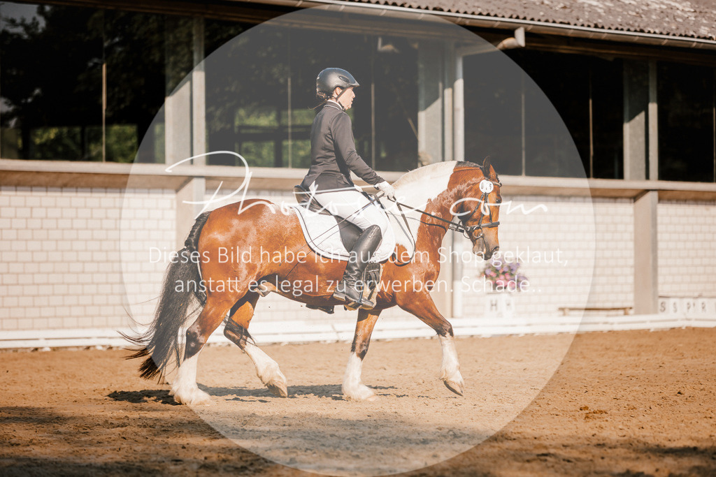 3I6A8710 | Stimmungsvolle Portraits und Reitsportfotografie im Ruhrgebiet und im Münsterland.

Pferdefotografie, Hundefotografie, Tierfotografie, Reportagen, Portraits von Tier und Mensch, Turnierfotografie in Bochum, Recklinghausen, Marl, Haltern am See, Dülmen.. - Realisiert mit Pictrs.com