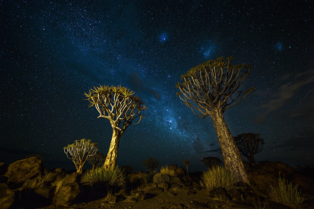 Milky Way and Quivertrees | Quivertrees near Keetmanshoop - Realisiert mit Pictrs.com
