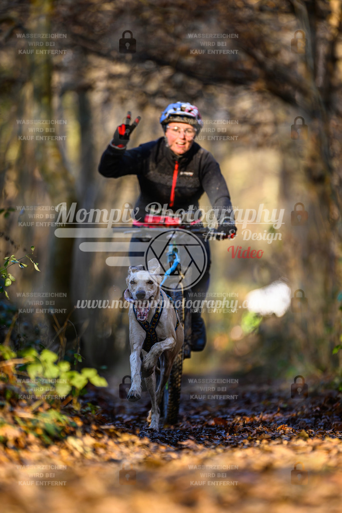 MompixPhotography_Eschau2024_Bike-9 | PayLife