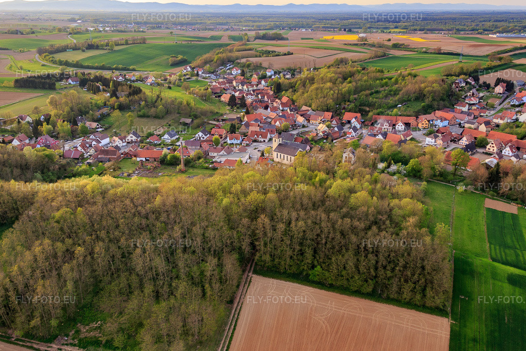 Vue aérienne: Vue du village depuis le sud à Neewiller-près-Lauterbourg dans le département Bas Rhin, France – .Photo: IMG_078016.jpg prise le 24/04/2015 par Werner Riehm/FLY-FOTO.eu – Résolution de l'original: 5168 x 3445 px