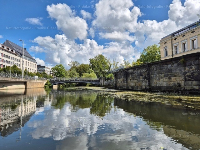 Oker in Braunschweig (1) | Naturfotografie Frauke Gläser - Realisiert mit Pictrs.com