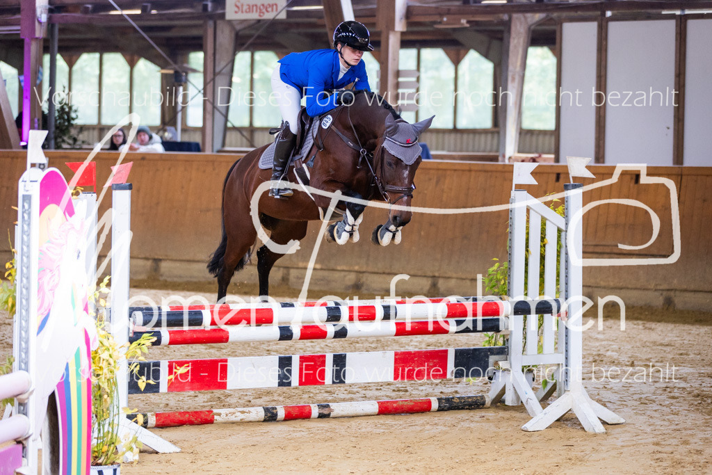 Sth-A-Springen-019 | MomenTaufnahmen Pferdesportfotos
