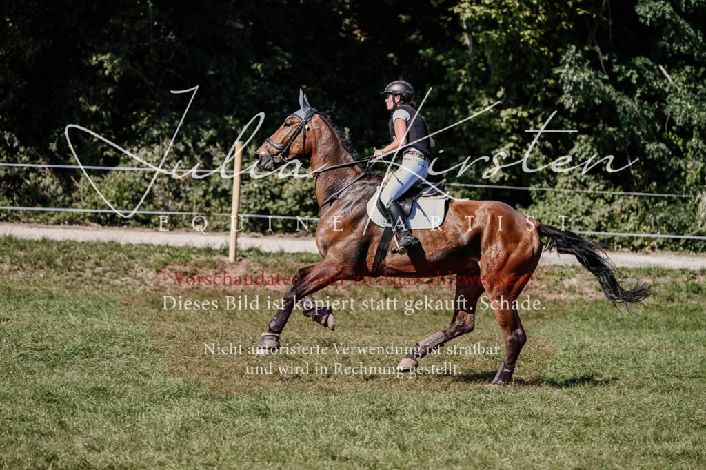 DSC_2714 | Pferde- und Turnierfotografie in Westsachsen. Pferdeportraits, Auftragszeichnungen und intuitive Kunst.