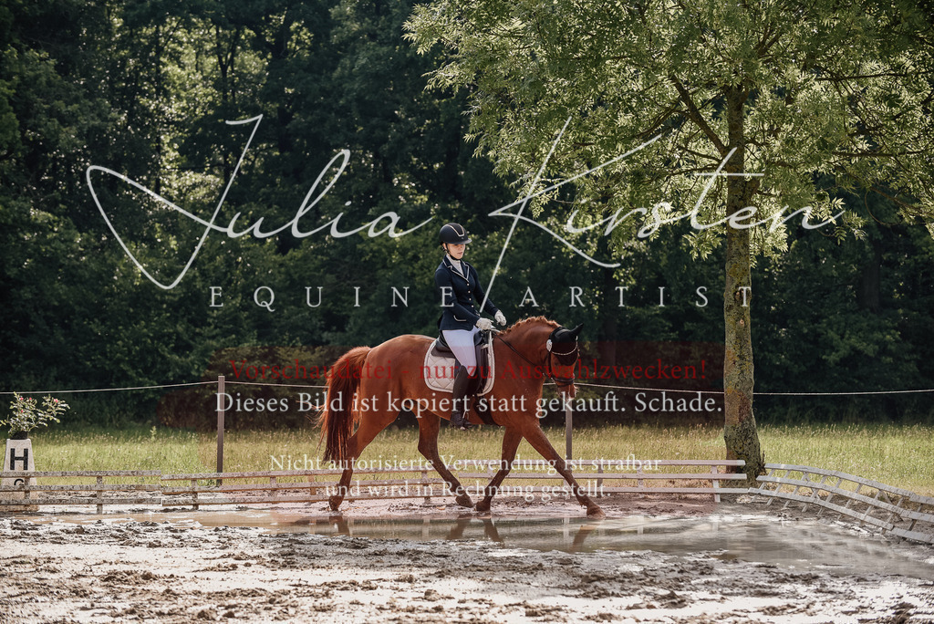 DSC_8945 | Pferde- und Turnierfotografie in Westsachsen. Pferdeportraits, Auftragszeichnungen und intuitive Kunst.