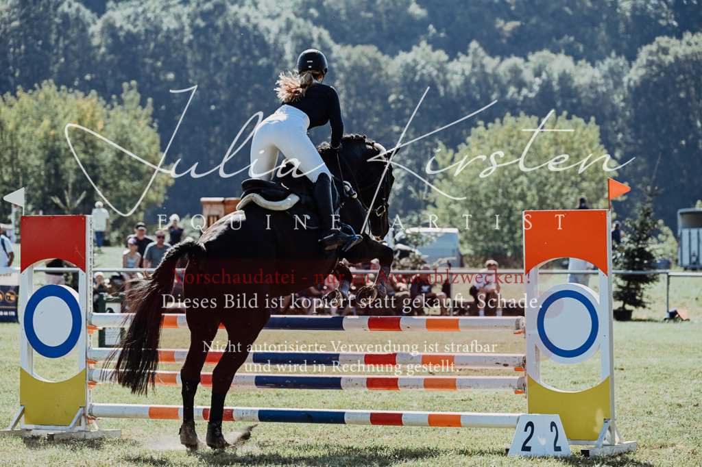 DSC_5760 | Pferde- und Turnierfotografie in Westsachsen. Pferdeportraits, Auftragszeichnungen und intuitive Kunst.