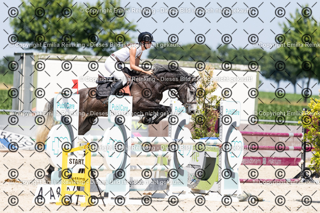 CL5A0700 | Emilia Reinking Fotografie - Realisiert mit Pictrs.com