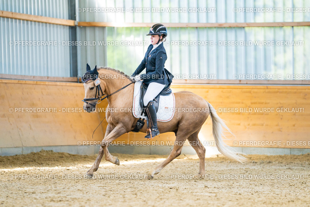 DSC07673 | Pferdegrafie