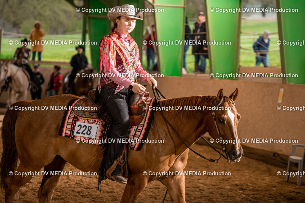 BAL00339 | dv-media-shop - Realisiert mit Pictrs.com