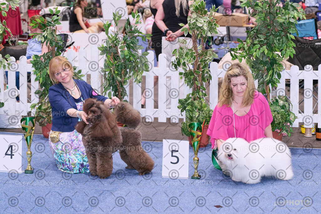 202406_ÖKV-IHA-Tulln24_NZ9_8735 | proPHOTO - Realisiert mit Pictrs.com