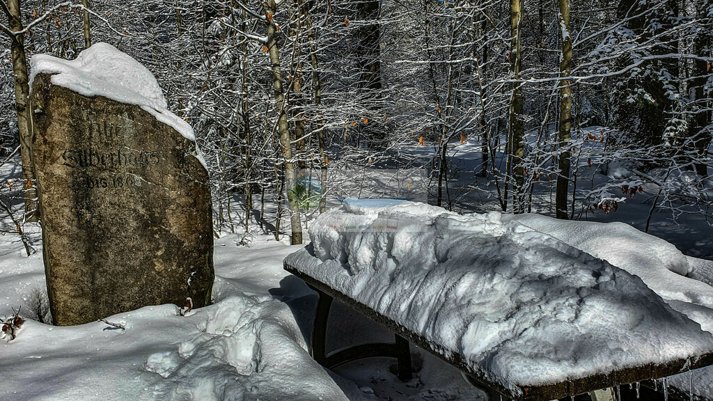 Platte Winter | Impressionen rund um Hochfranken - Frankenwald - Fichtelgebirge - Realisiert mit Pictrs.com