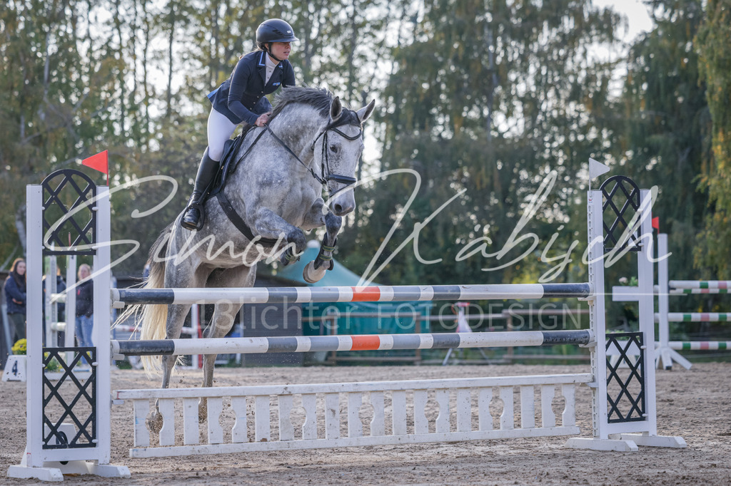 20251012-_3LI5754 | Tierfotografie Pferde, Hunde, Katzen, Haustiere.
Turnierfotografie Reitturniere, Reiten, Springreiten, Dressur in Hanau, dem Main-Kinzig-Kreis und dem Rhein-Main- Gebiet um Frankfurt