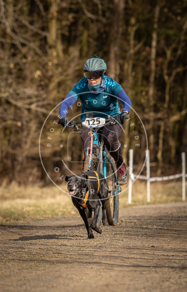 DV3A4525 | Hundefotografie, Tierfotograf, Pfotenfotografie, Fotoshooting Hund, Hunde Portrait, Hundesport, Hundeportraits, Heideshooting, Hunde, Sportfotograf, Hundefotograf, Turnierhundsport, THS,  - Realisiert mit Pictrs.com