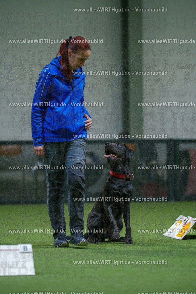 7R504151 | Professionelle Tierfotografie in Mönchengladbach von Daniel Wirth (allesWIRTHgut). Liebevolle & natürliche Bilder von Hunden & Katzen für unvergessliche Erinnerungen.