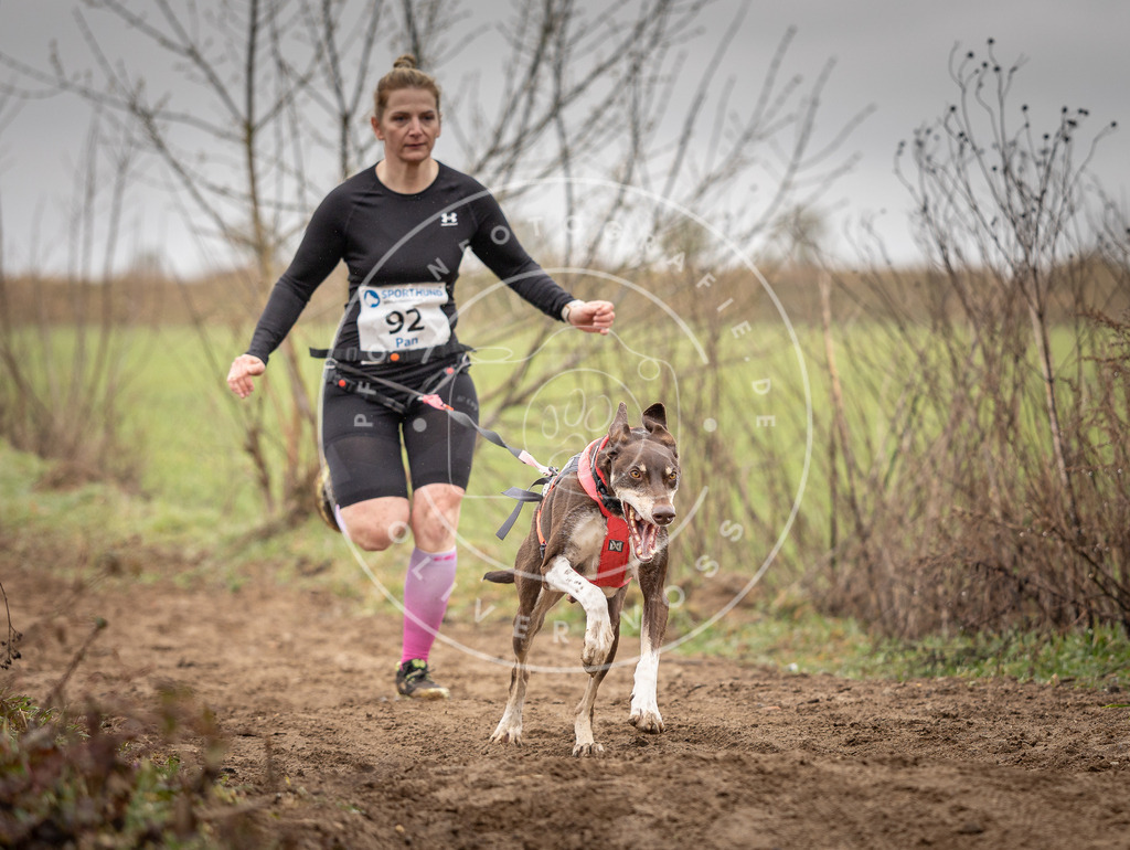 DV3A0019 | Hundefotografie, Tierfotograf, Pfotenfotografie, Fotoshooting Hund, Hunde Portrait, Hundesport, Hundeportraits, Heideshooting, Hunde, Sportfotograf, Hundefotograf, Turnierhundsport, THS,  - Realisiert mit Pictrs.com