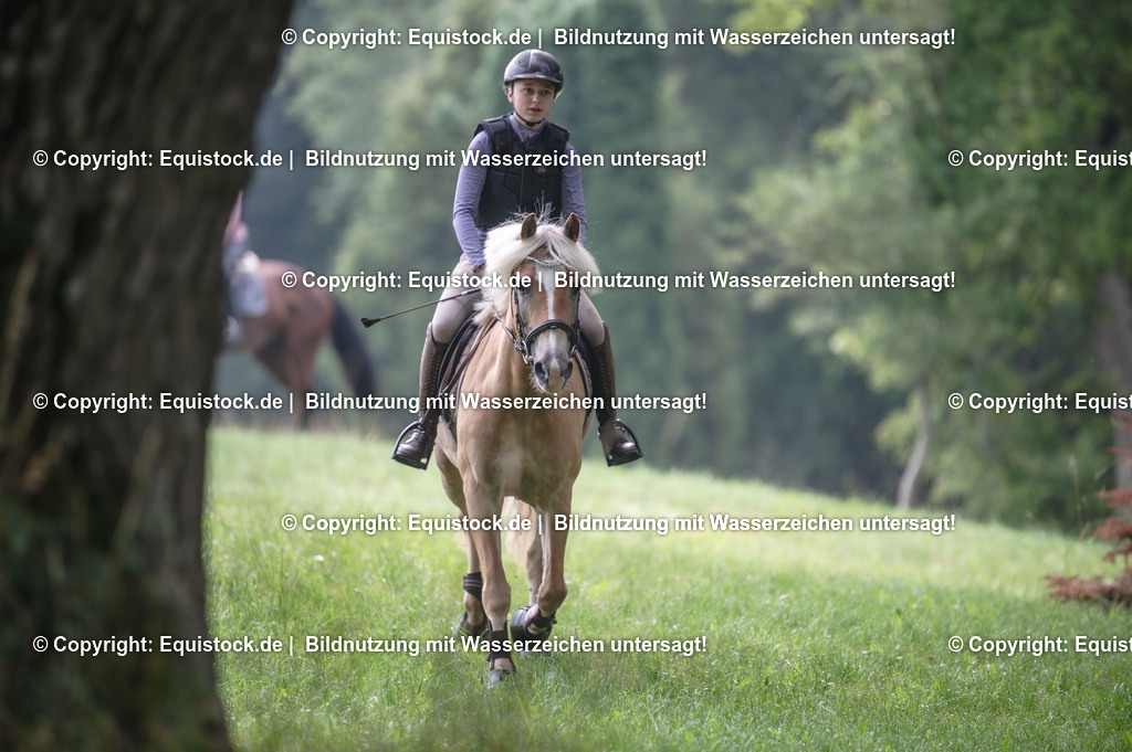 20250726_Vielseitigkeitslehrgang-Marbach_0006 | Foto: Thomas Hartig