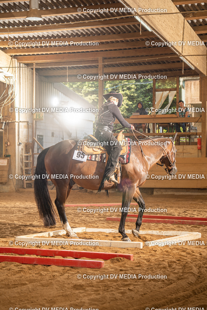 NID02562 | dv-media-shop - Realisiert mit Pictrs.com