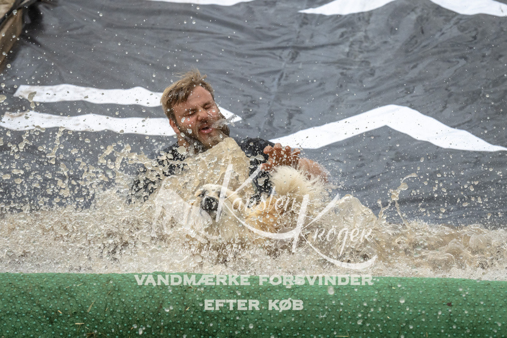 1611_ZZ92668 | kk-dogfotos