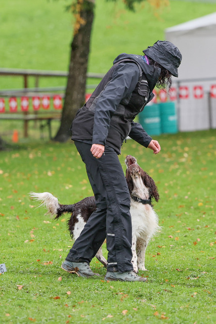 2025_Rally_Obedience_SM-60 | Ich fotografiere Hundeausstellungen, Sportanlässe, Zuchtstätten, Hundezucht, Hundeportrait, Lagotto - Realisiert mit Pictrs.com