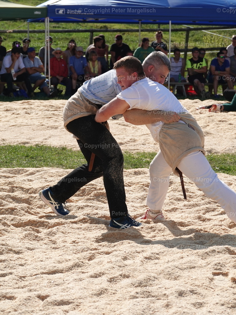 DSC05190 | Schwingen - Realisiert mit Pictrs.com