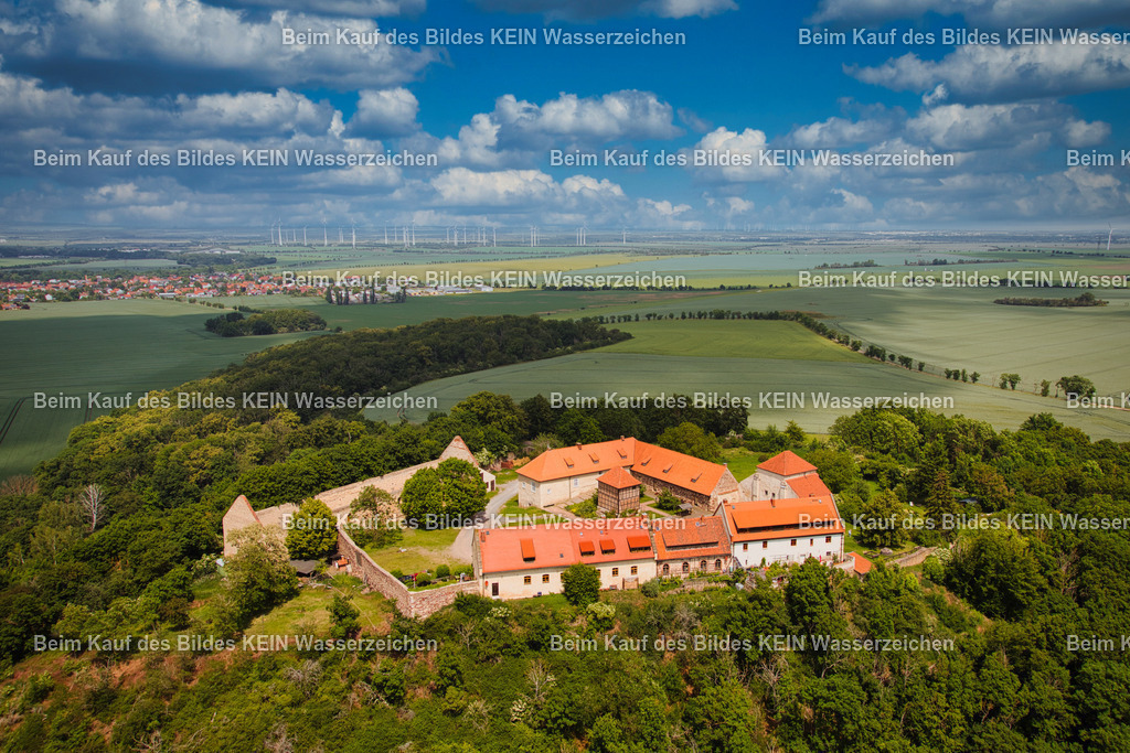 Konradsburg_bei_Falkenstein_Aschersleben_5112 | Luftbild der Konradsburg bei Ermsleben im Landkreis Harz in Sachsen-Anhalt. Die historische Burganlage liegt auf einem bewaldeten Höhenzug und ist von der Landschaft des Harzes und des Vorharzes umgeben. - Realisiert mit Pictrs.com