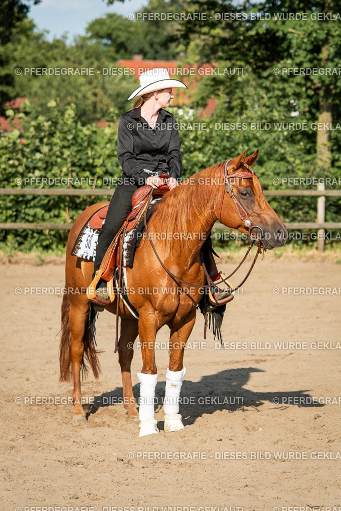 DSC05602 | Pferdegrafie