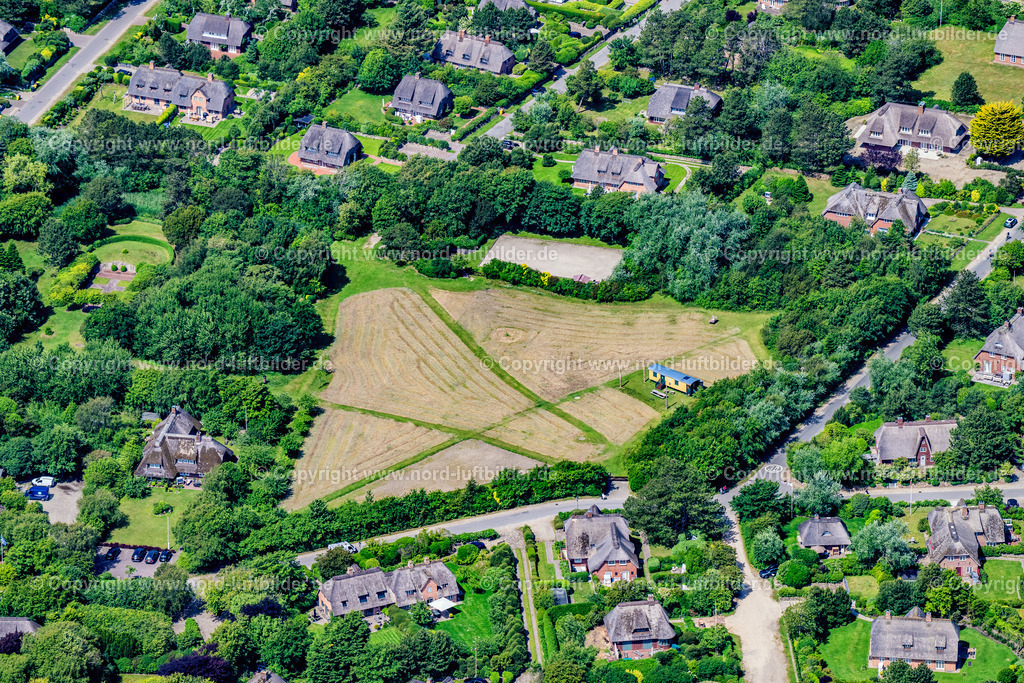 Sylt_Kampen_Avenariuspark_ELS_5290130625 | KAMPEN (SYLT) 13.06.2025 Parkanlage " Avenariuspark " in Kampen (Sylt) auf der Insel Sylt im Bundesland Schleswig-Holstein, Deutschland. Weiterführende Informationen bei: Sylt Marketing GmbH. // Park of " Avenariuspark " in Kampen (Sylt) at the island Sylt in the state Schleswig-Holstein, Germany. Further information at: Sylt Marketing GmbH. Foto: Martin Elsen