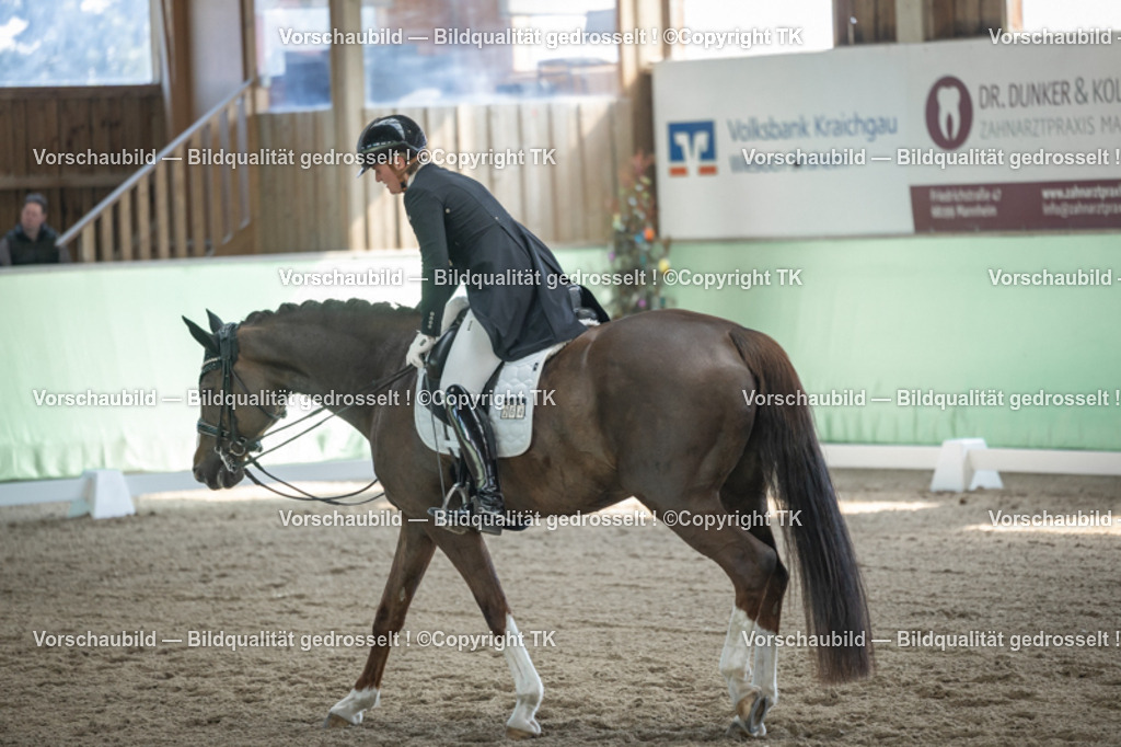 _D5A9382 | Emotionale Pferde- & People-Fotografie rund um Heidelberg, Leimen & Umgebung. Natürliche Fotos von Pferd, Mensch & Familie. Jetzt Termin sichern!