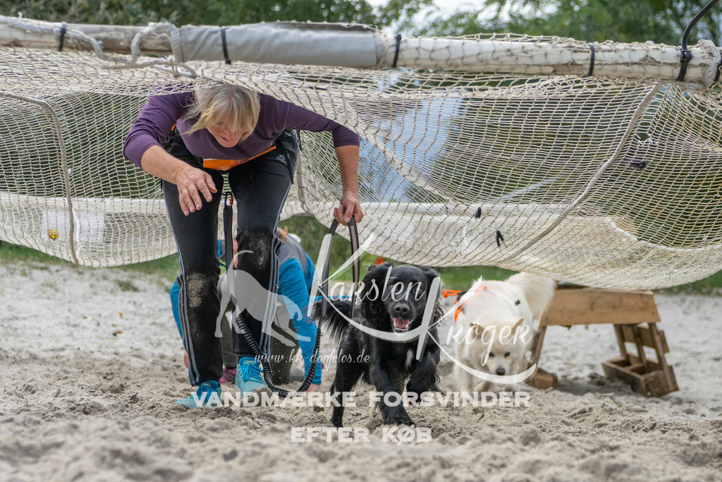 1137_ZZ98333 | kk-dogfotos
