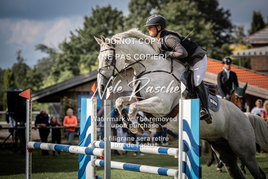 nelerasche_SprL115Ede_87 | nelerasche