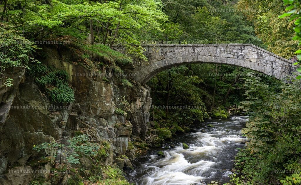 DSC_1318 | invaluablemoments.com - Realisiert mit Pictrs.com