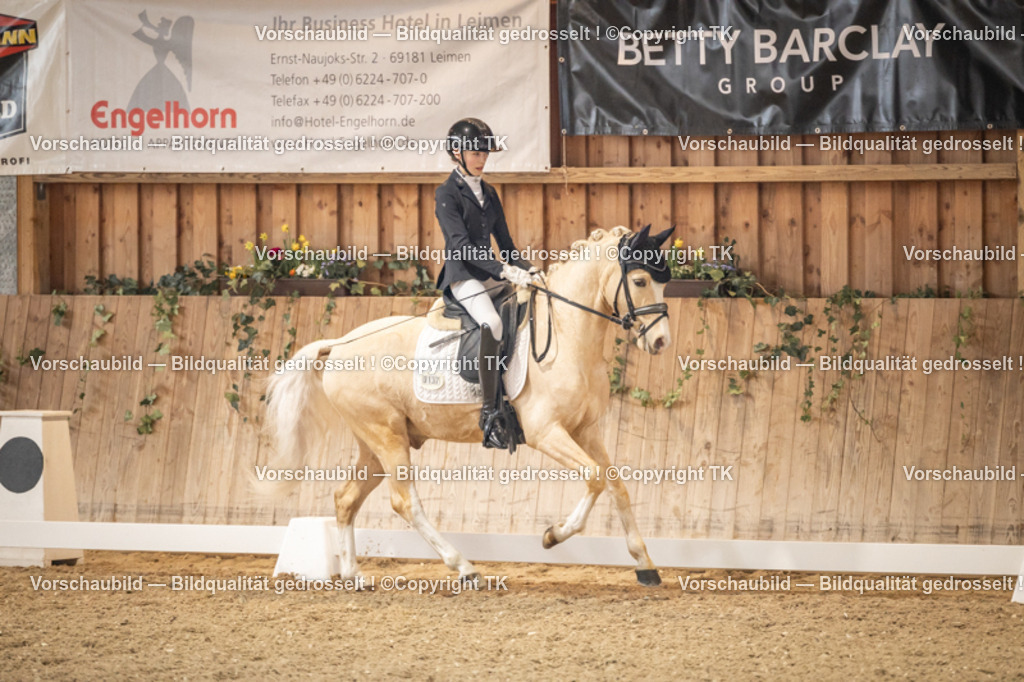 _D5A8474 | Emotionale Pferde- & People-Fotografie rund um Heidelberg, Leimen & Umgebung. Natürliche Fotos von Pferd, Mensch & Familie. Jetzt Termin sichern!